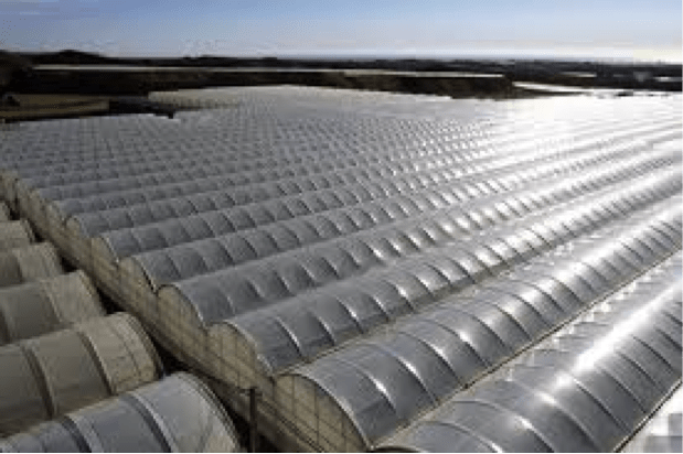 Invernadero en Almería