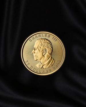 Ilustración De Icono De Hoja De Arce Canadiense De Plata Aislado Sobre Fondo Negro Símbolo De Canadá Hoja De Arce Estilo De Sombra Larga Vector Y Más Vectores Libres De Derechos De