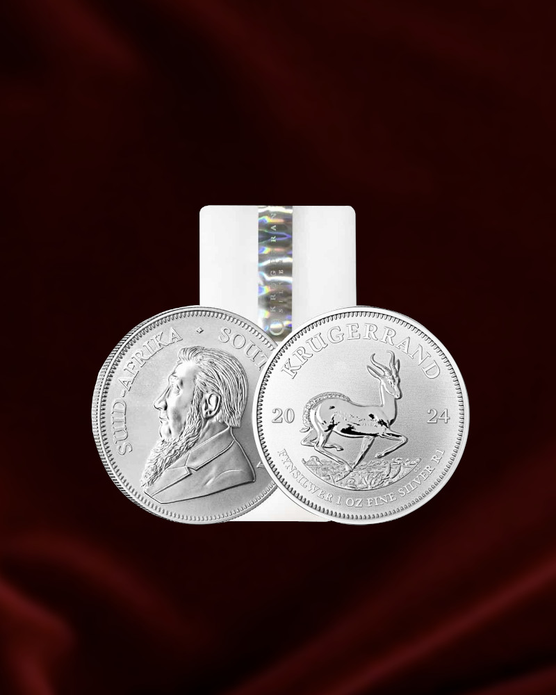 Tubo de 25 monedas de PLATA Krugerrand de Sudáfrica de 1 oz. 2024