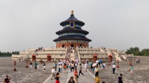 Moneda de oro Panda de China - CMC Metales Preciosos