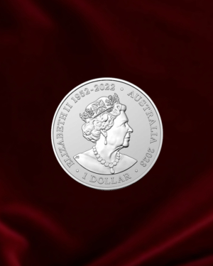 moneda de plata de inversion rinoceronte blanco de sur. Australia