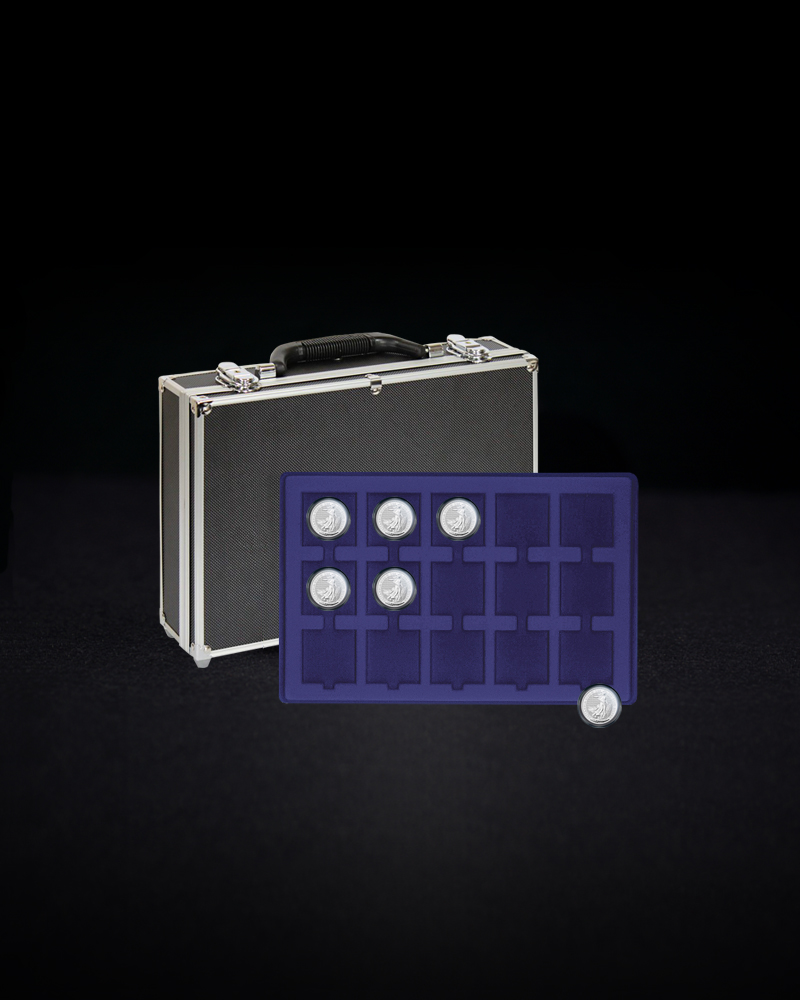 Maletin o maleta para monedas