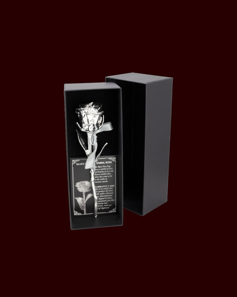 Rosa natural bañada en plata aleada evitar deslustre